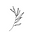 The Terra Tribe logo